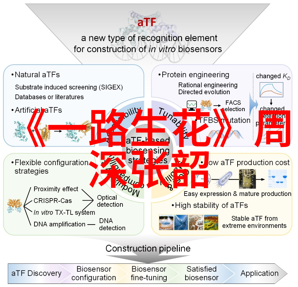 国色天香视频免费网-探秘国色天香解锁中国美景与文化的无限魅力
