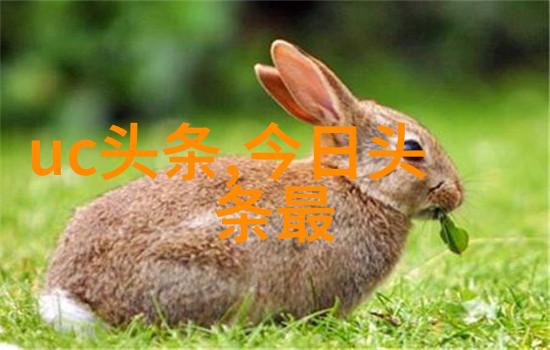 数字纽带图优网的无缝连接