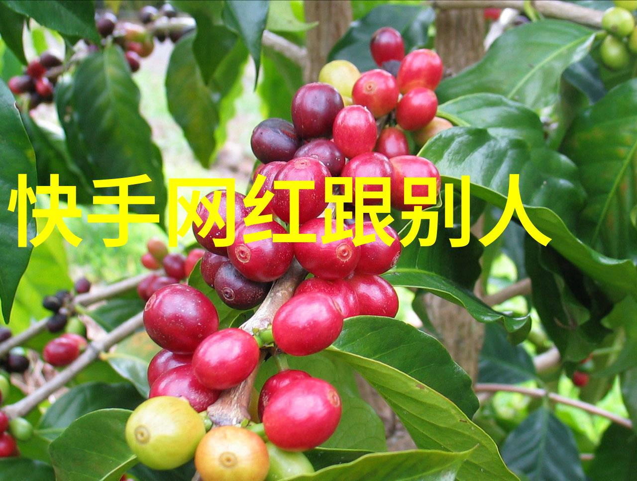 现今台湾最新消息疫苗接种率达标后解封计划何时推出