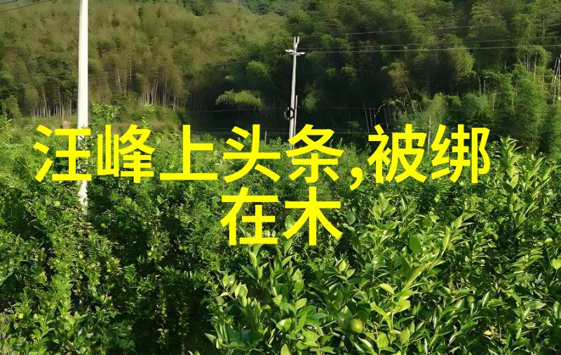 人与图片之间的故事一帧一瞬间永恒