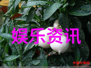 超经典网名个性搞怪搞笑的选择