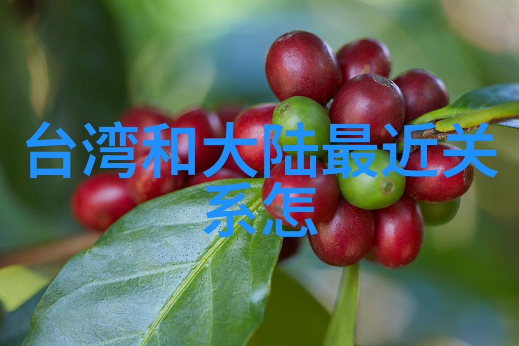 火焰中的幻想玩火txt的奇妙世界