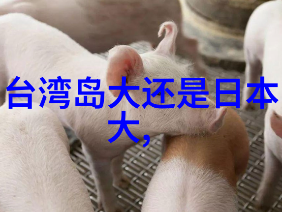 上头条看世界杯直播足球赛事网络直播平台全球观众共享