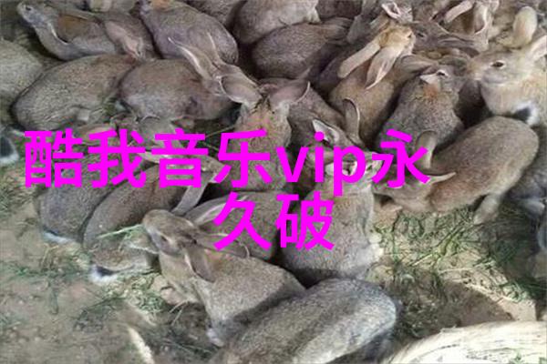 黑白与彩色肖战写真中的多重面貌