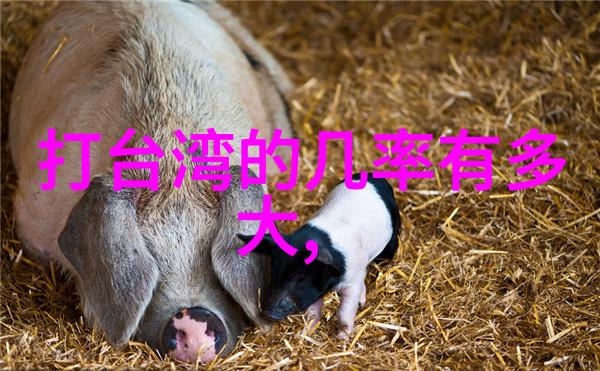 八卦图秘籍揭秘古人如何用风水术让家里永远不需要打扫