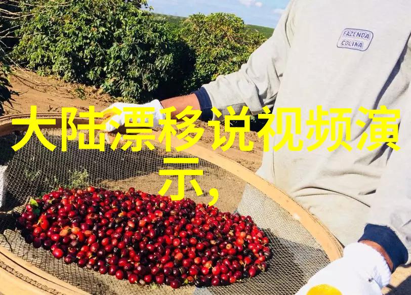 纯音乐大全100首悠扬旋律的完美汇编