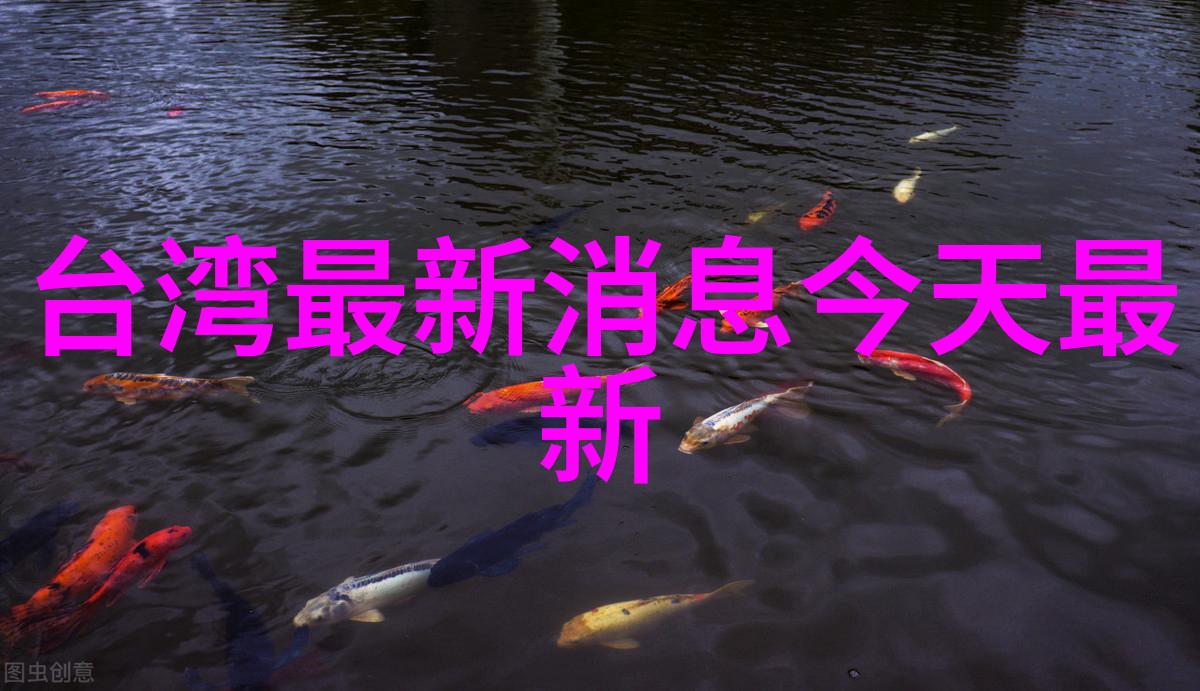 节日说说我是怎么过年的