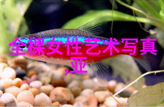 暌违txt-离别与归来追忆那些年间隔的文字