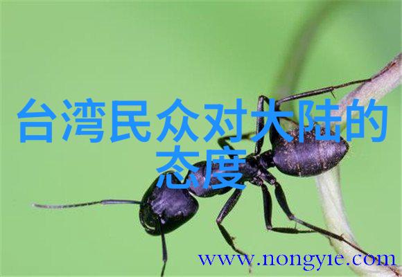 温暖回忆经典老歌500首怀旧之旅