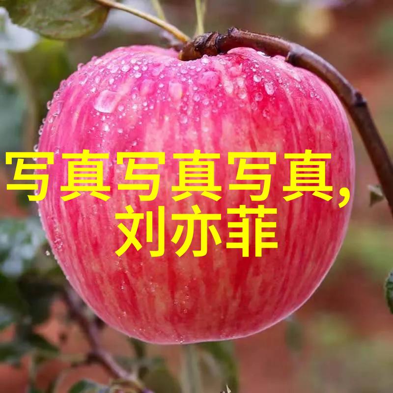 温暖的微笑背后解锁和蔼可亲的真相