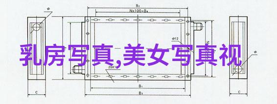 海滩上的秘密花园女神们的比基尼盛宴