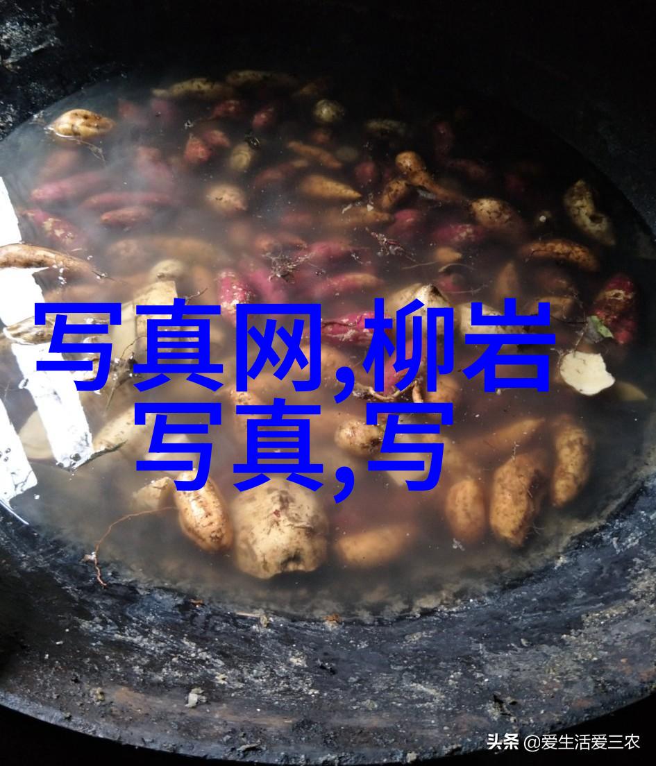 学术界新星我要上头条的科研之旅