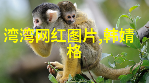 从现实到虚构哪些元素让这些恋爱综艺走红