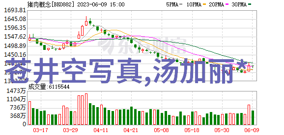 女歌手-旋律中的女性魅力探索女歌手在音乐史上的独特贡献