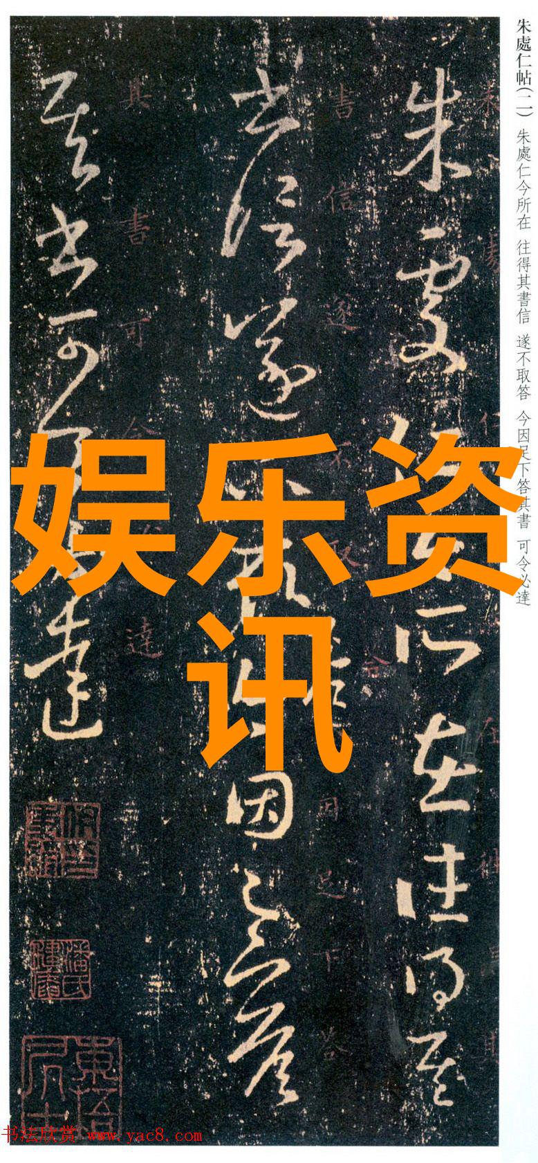 探秘仙踪林Xzlcompany limited背后的故事与未来展望