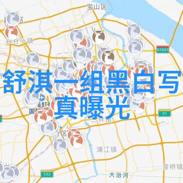 深宫轻狂谍影之下