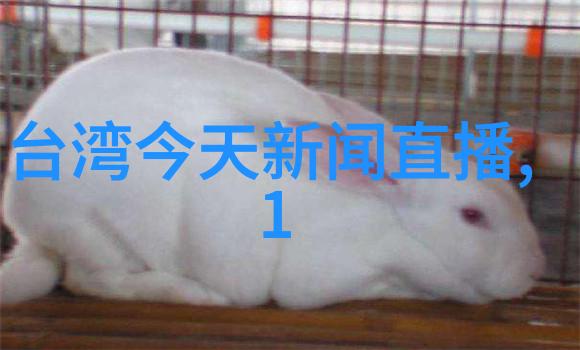 政企携手呼吁切勿冲动酒驾全民共享美景图片高清哈啤不再是聚会的代名词