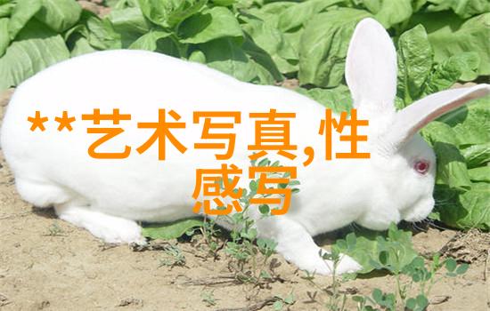 情侣甜蜜瞬间浪漫爱情图片分享