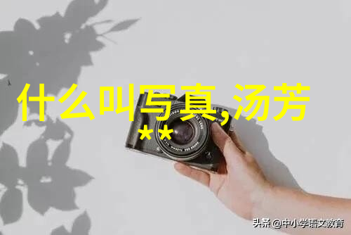 战火纷飞下的城市生存一旦开战最危险都市的评估与分析