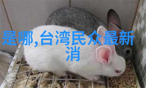 准备先对开火的哲学理解战争的本质和目的