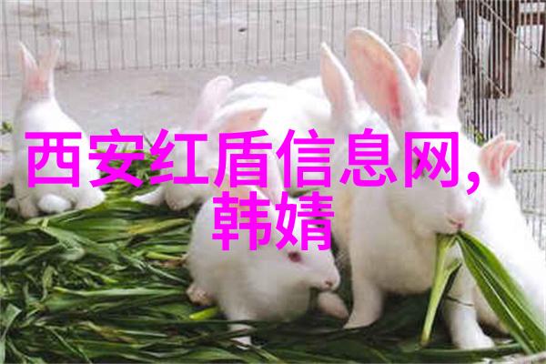 片多多免费观看高清 电影我是如何在片多多上找到了无数精彩电影的