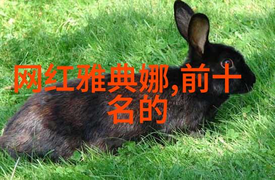 幕后梦想影视盛宴的无限下载
