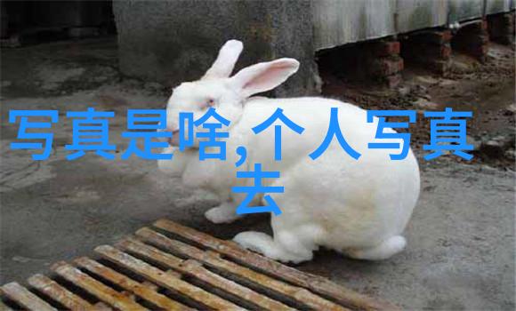100年不回归自动独立我亲自见证了这段历史的壮丽