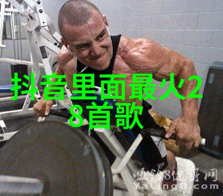 社交界面上的自我展示微信头像的艺术探索