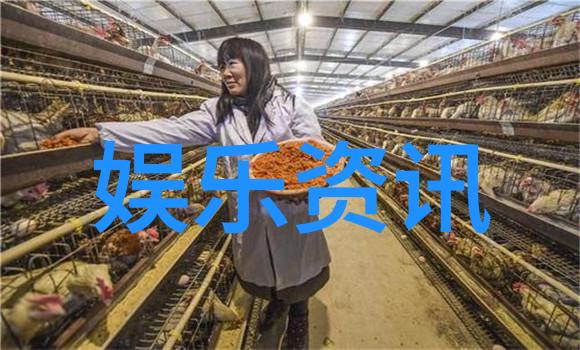 从古到今的家宅风水演变历程及现代实践方法