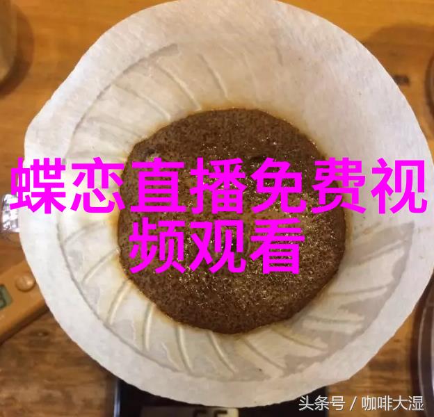 皇家盛宴探秘宫廷里的欢乐与仪式