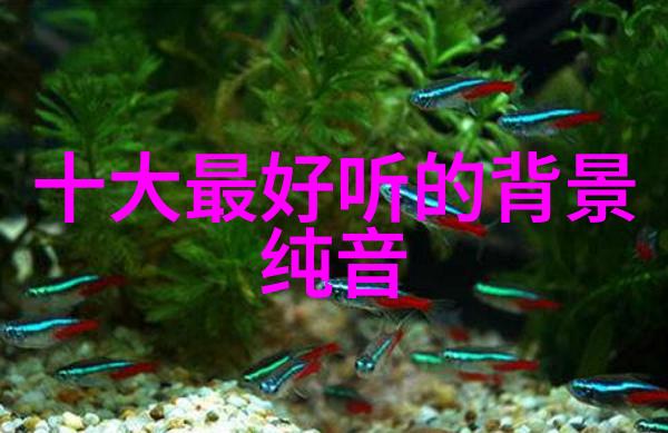如果你是11月22号出生的你会被哪种性格类型所吸引吗