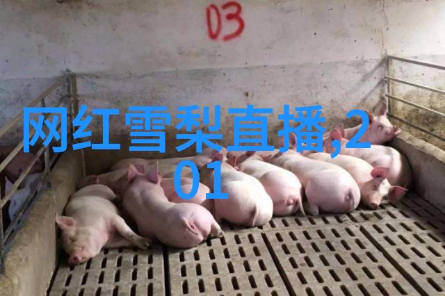 红毯上的误会影星好友不解之缘