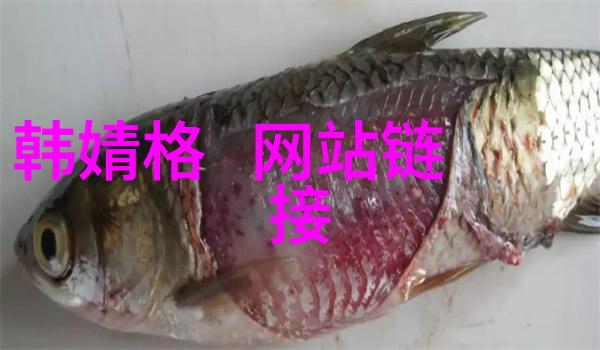 八卦新闻 - 星光闪耀娱乐圈最火爆的八卦新闻