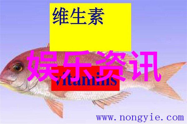 共舞的激情多人运动中的女性体验