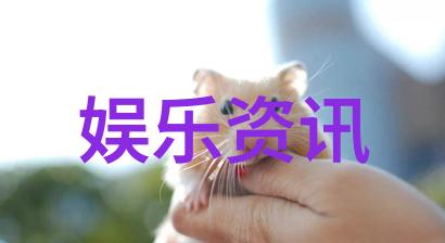 从每一张照片中提取出的幸福感和挑战之旅回顾2022年度最佳相片选集