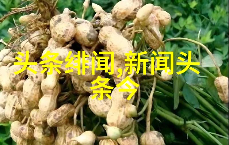 电影奇迹揭秘无价之宝完整版免费观看的背后故事