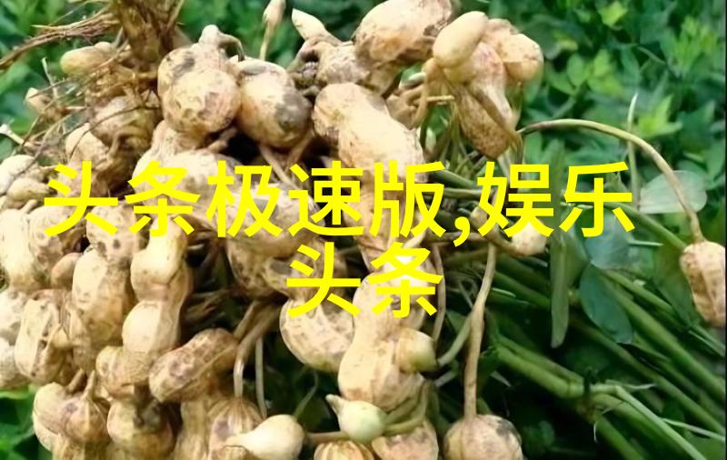 我的蠢萌老公笑声中绽放的家庭爱情