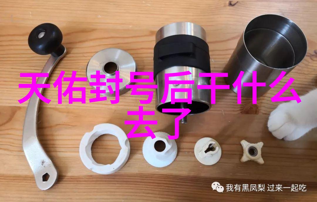 东方时尚驾校引领华丽道路的驾驶艺术