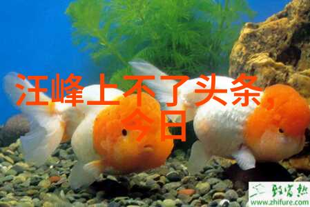探索内心世界揭秘八卦的自我解读方法