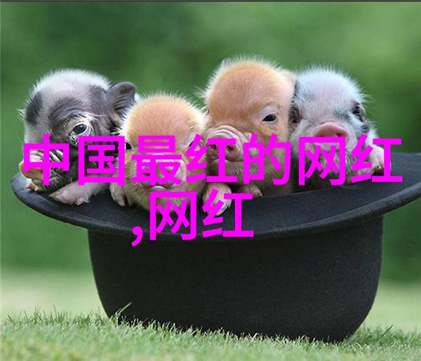 沉浸在茶香中探索中国影视文化的茶艺篇章