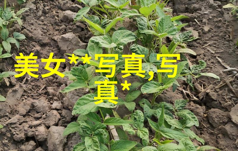 印度互联网审查政策紧张社交媒体平台遭限制使用