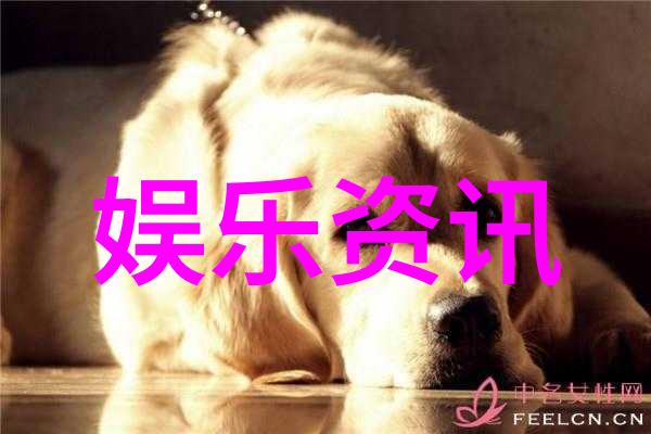 江苏综艺频道探索文化多元的视觉盛宴