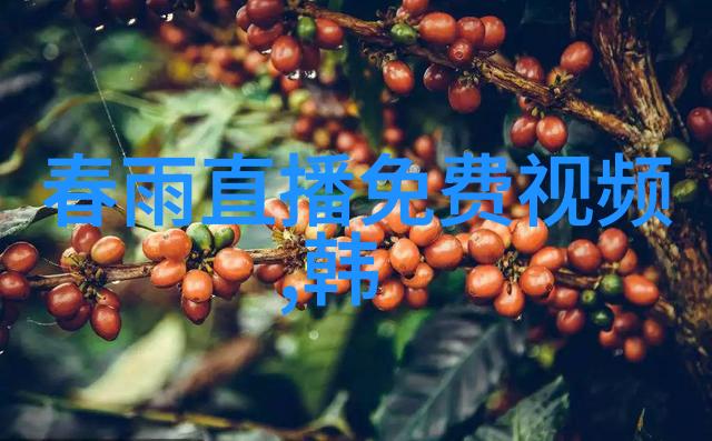 百度智慧識別技術面臨哪些挑戰以及未來發展方向是什么
