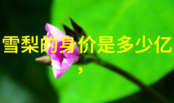 北京东方时尚驾校的秘密是什么
