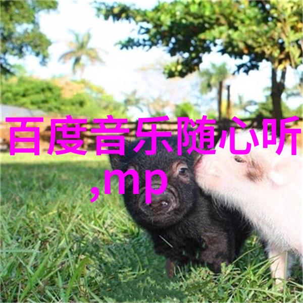 央视综艺街头青春李浩宇开启演唱生涯新篇章首发单曲街子