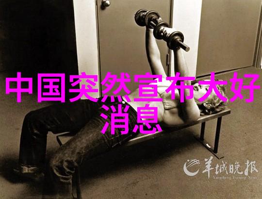 变形金刚机器的觉醒与友谊的铸就