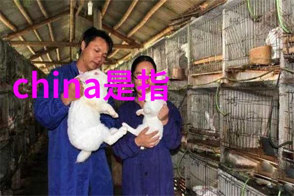 解开太极之谜最正宗的八卦图在哪里寻找