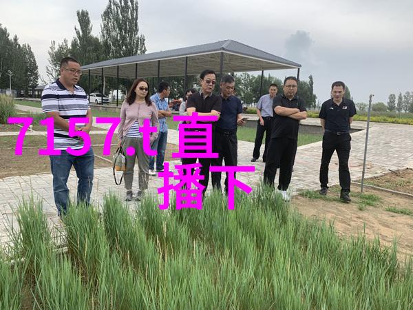 娱乐圈演技帝-戏台上的天才探索娱乐圈最具演技力的艺术家
