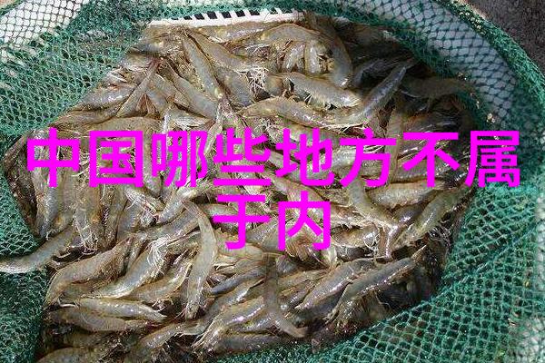 重庆隧道中的悲剧网红摩托车手去世之谜