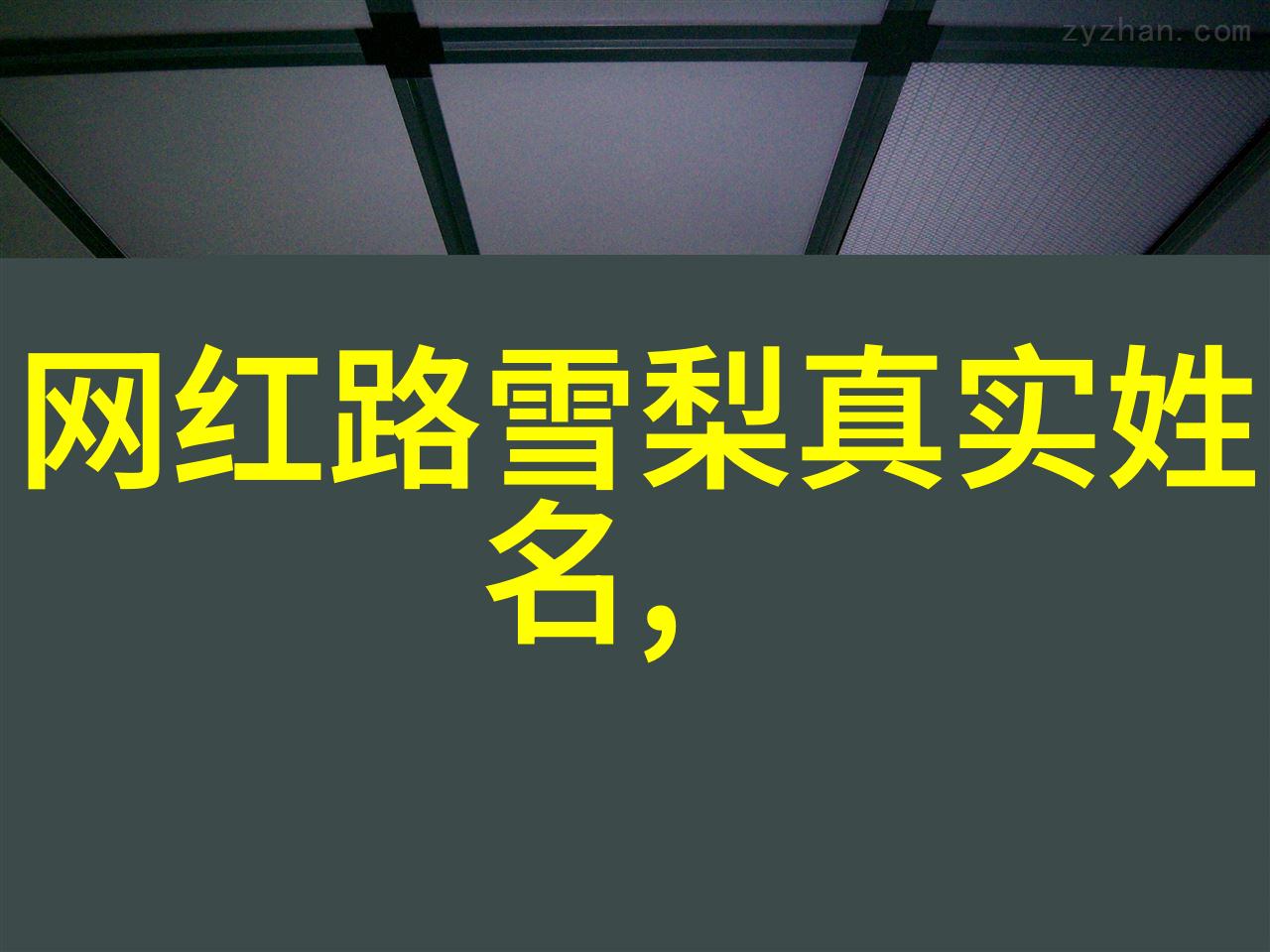 一只撑着伞的小松鼠的日常亲亲小女朋友赏赏花仿佛在细雨中跳动的心跳